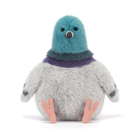 Strutton Pigeon