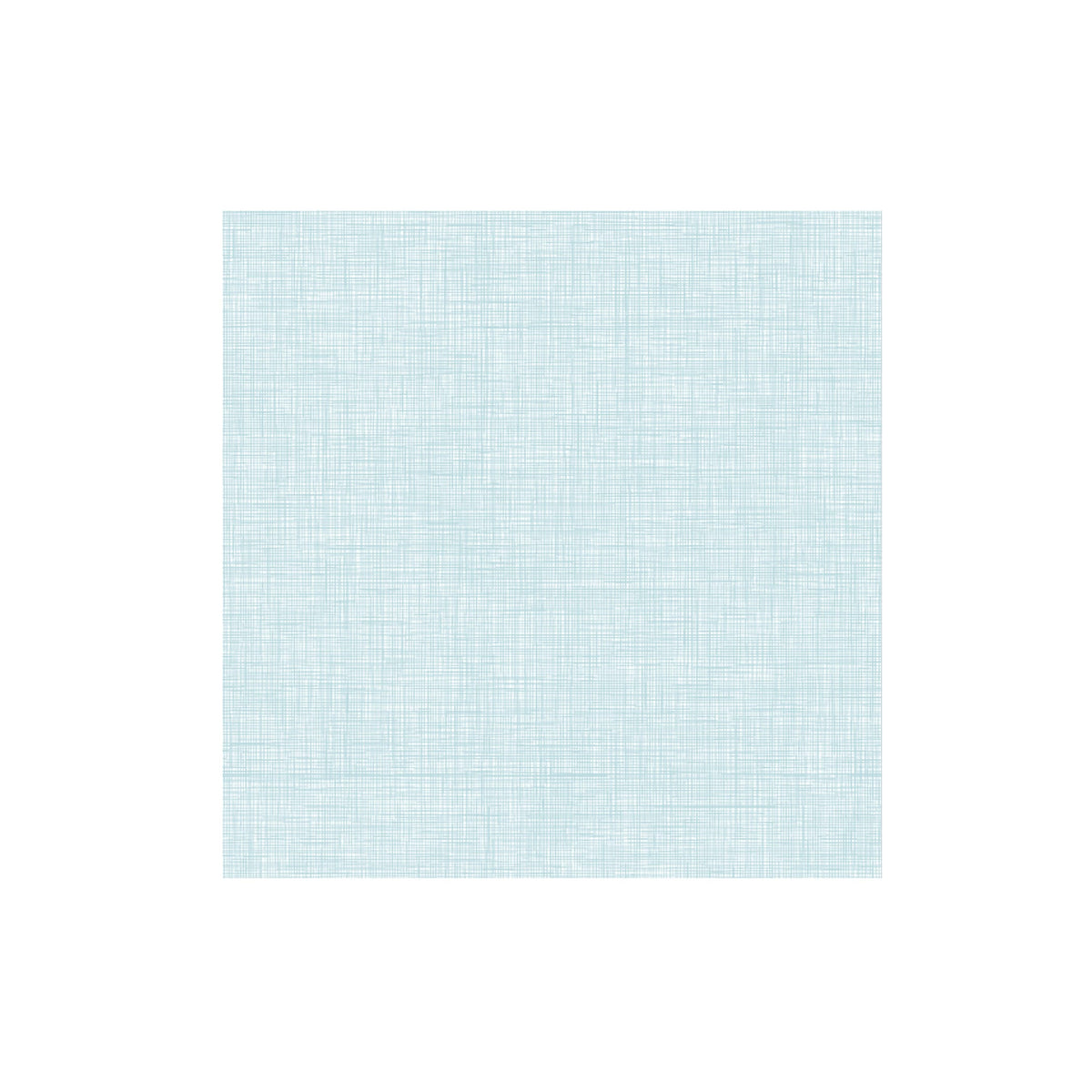 Papersoft Napkins Easy Dinner Napkins