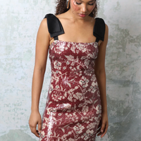 Frida Floral Burgundy Dress