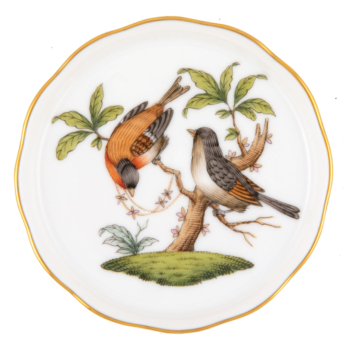 Rothschild Bird Coaster, Motif 12