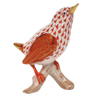 House Wren — Rust