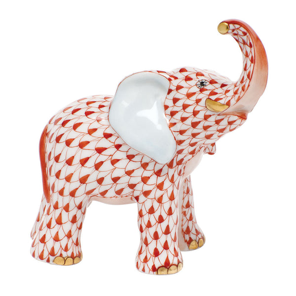 Young Elephant