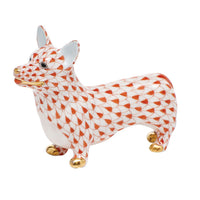 Corgi