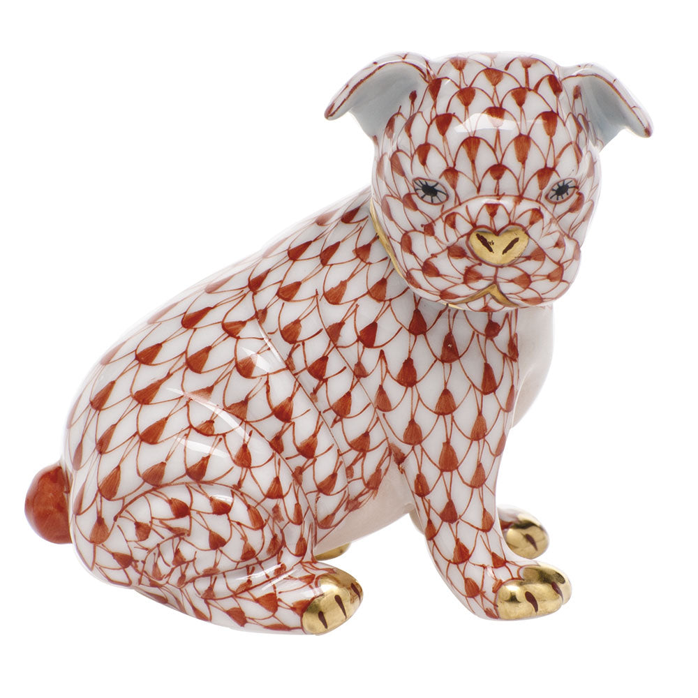 Bulldog Puppy — Rust