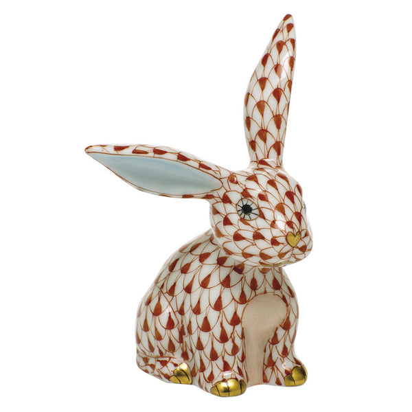 Funny Bunny