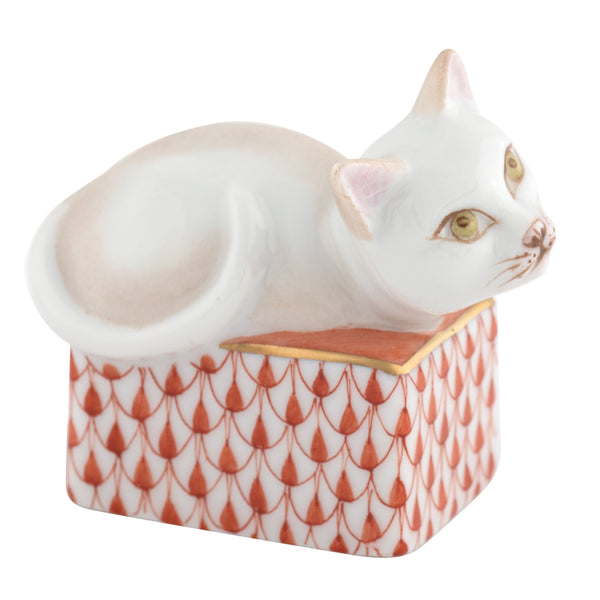 Cat In Box