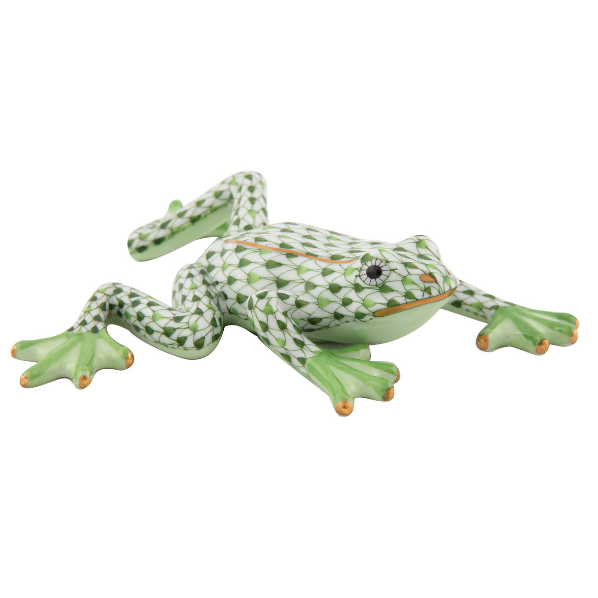 Reaching Frog — Multicolor