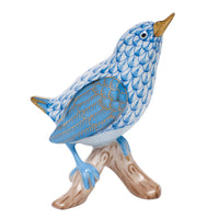 House Wren — Blue
