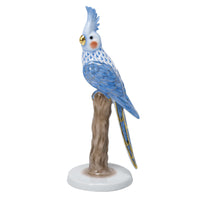 Cockatiel — Blue