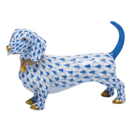 Dachshund — Blue