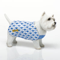 West Highland Terrier — Blue
