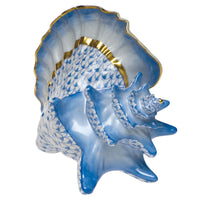 Conch Shell — Blue
