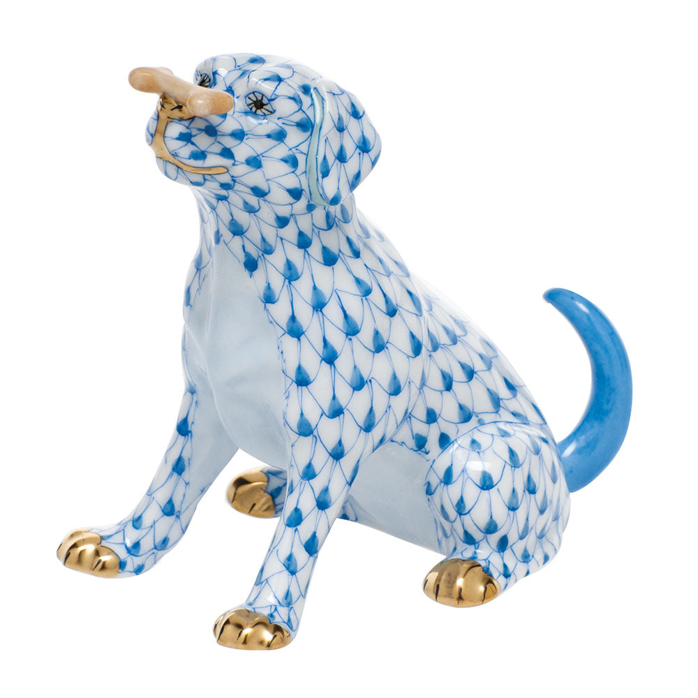 Max with Bone — Blue