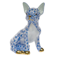 Chihuahua — Blue