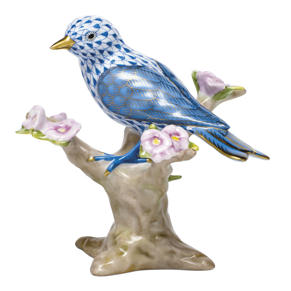 Mountain Bunting — Blue
