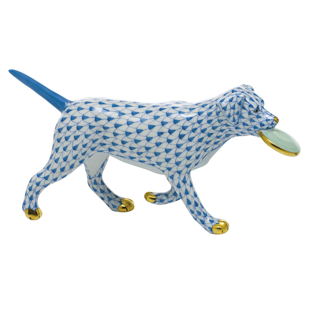 Frisbee Dog — Blue