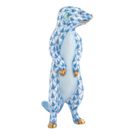 Meerkat — Blue