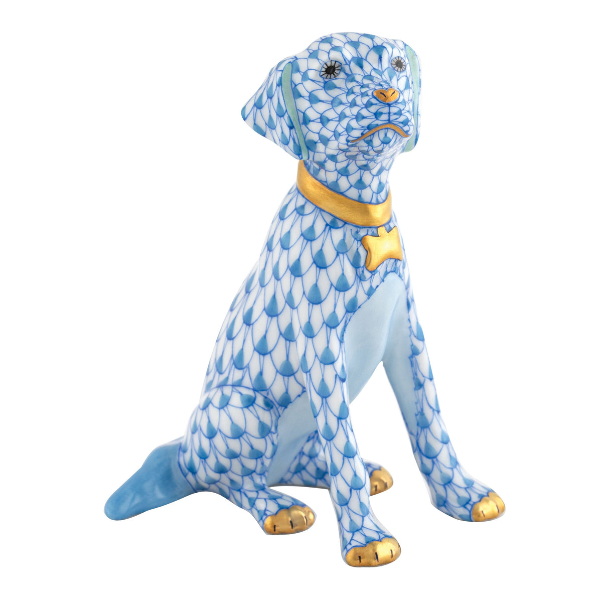 Young Golden — Blue