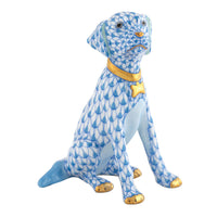 Young Golden — Blue