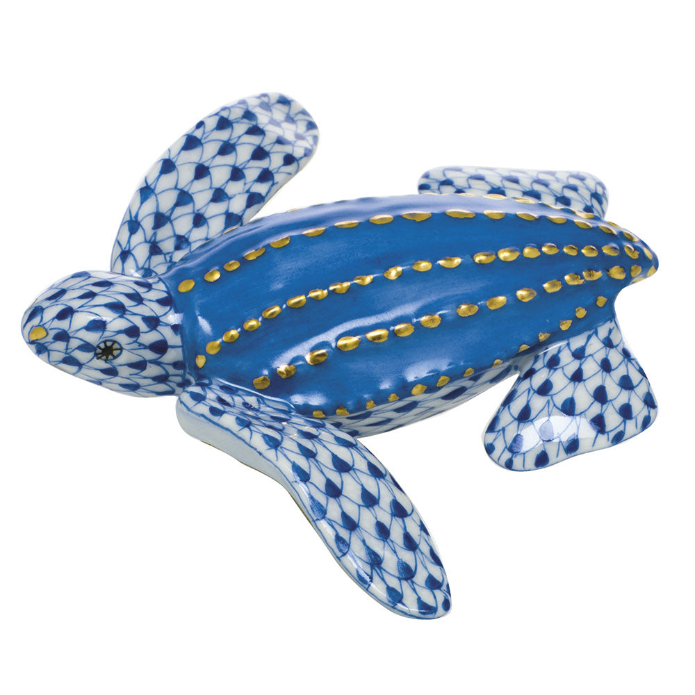 Young Leatherback Turtle — Sapphire