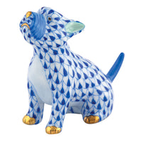 Singing Westie — Sapphire