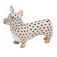 Corgi