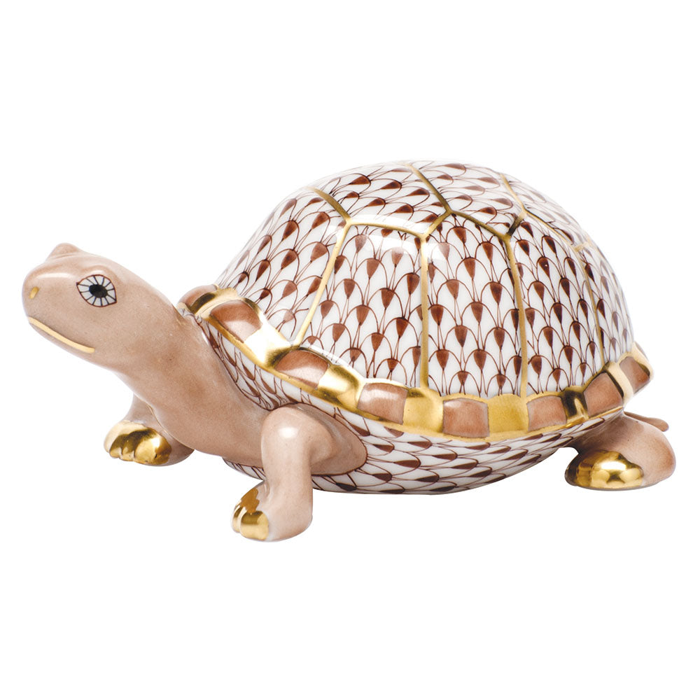 Small Box Turtle — Chocolate