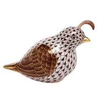 California Quail — Chocolate