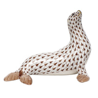 Sea Lion — Chocolate