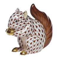 Baby Squirrel — Chocolate