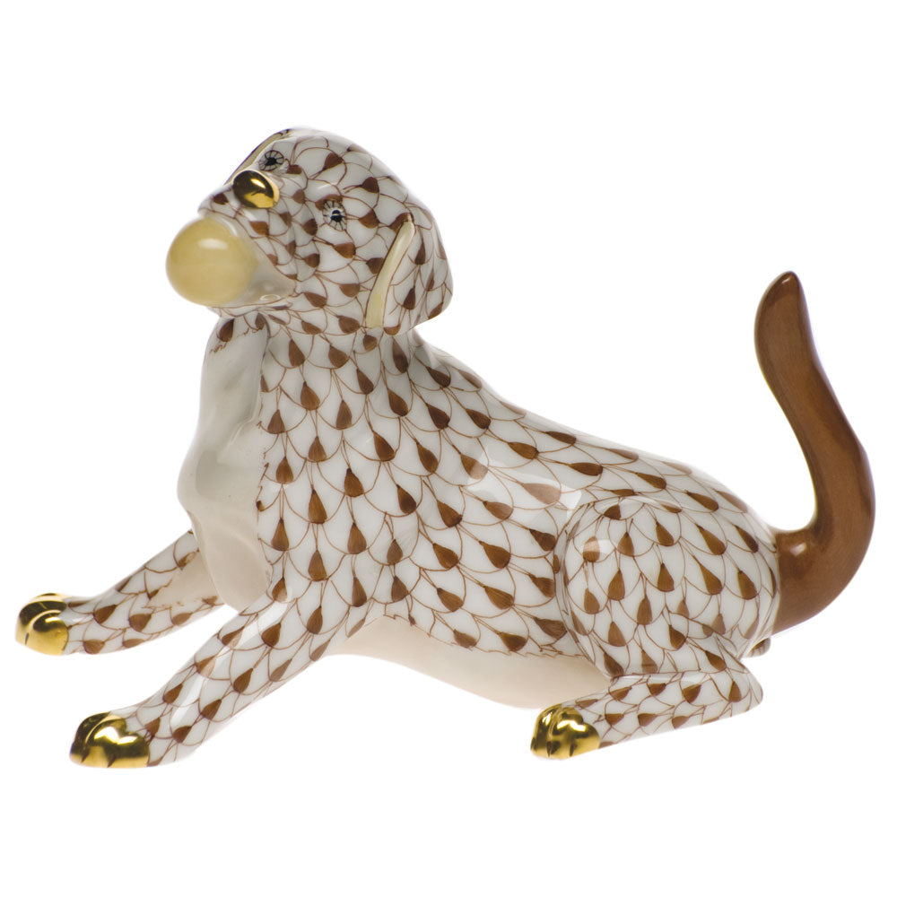 Labrador with Ball — Chocolate