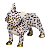 Frenchie