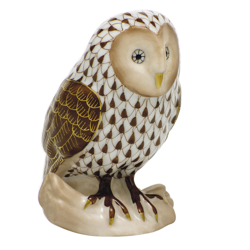 Barn Owl — Chocolate