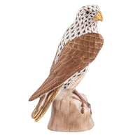 Falcon — Chocolate