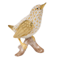 House Wren — Butterscotch