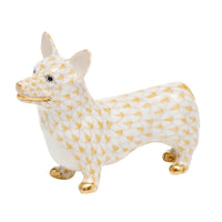 Corgi