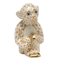 Little Monkey — Butterscotch