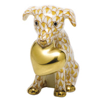 Puppy Love — Butterscotch