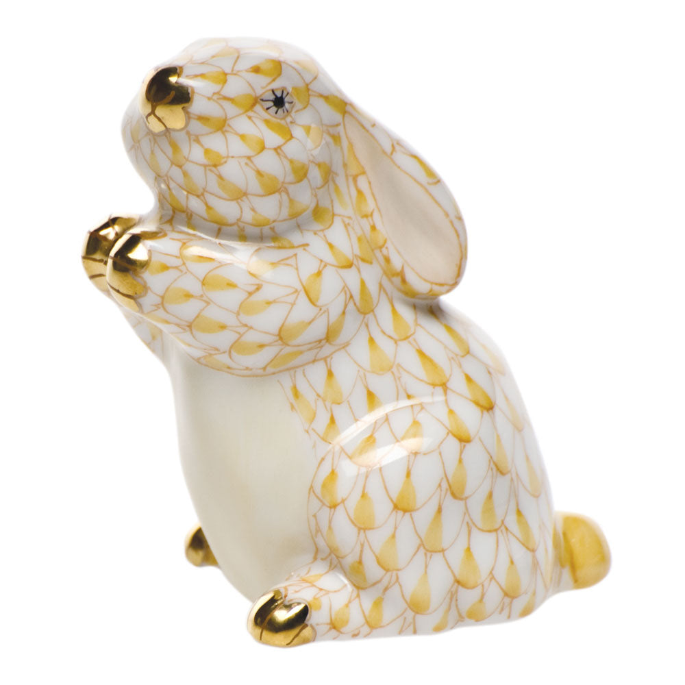 Pudgy Bunny — Butterscotch