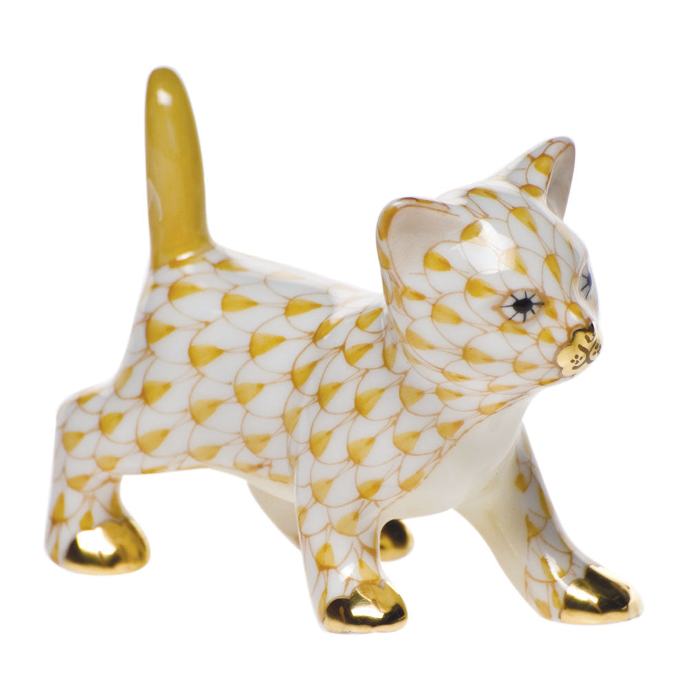 Strutting Kitty — Butterscotch