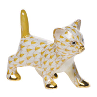 Strutting Kitty — Butterscotch