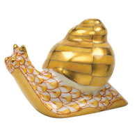 Baby Snail — Butterscotch