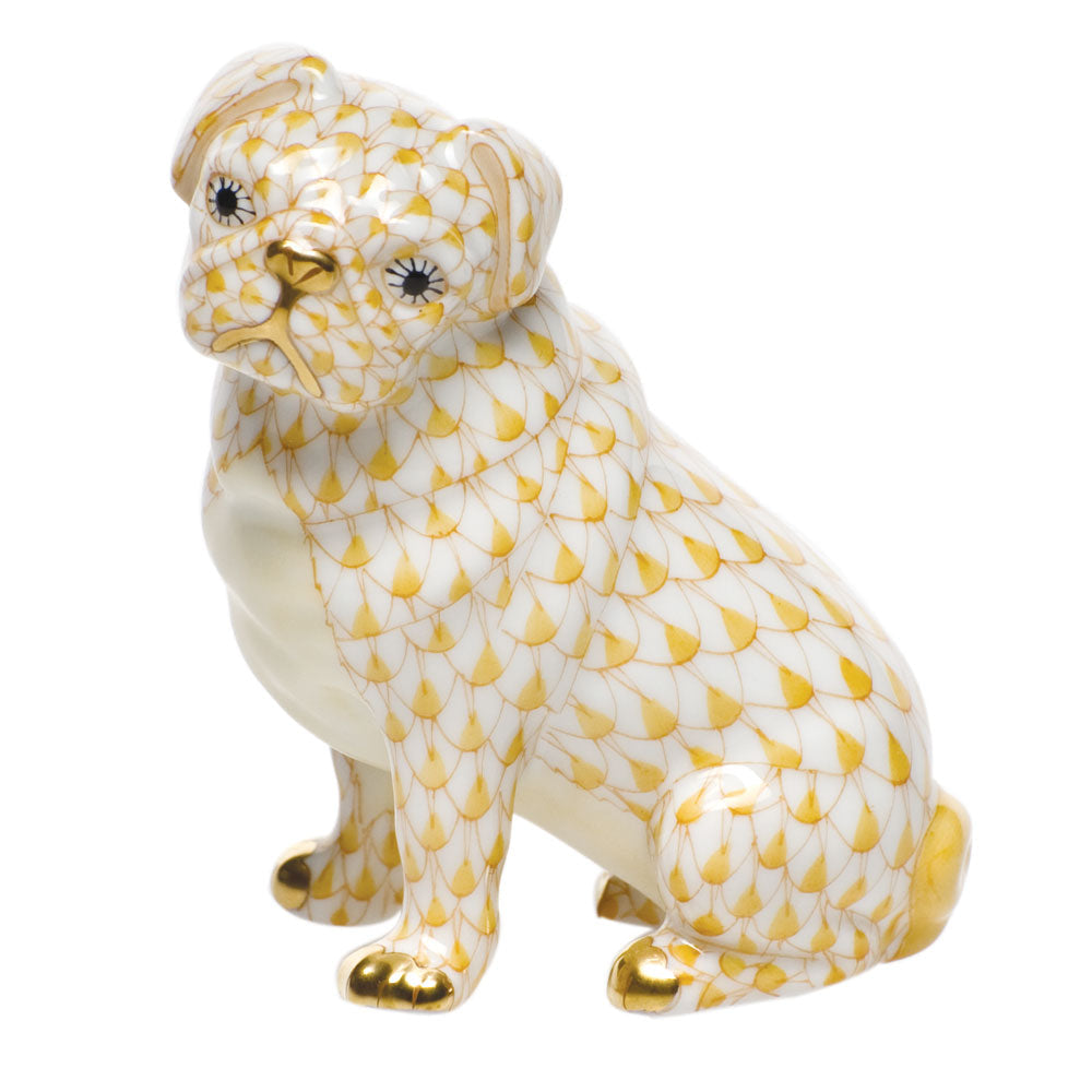 Sitting Pug — Butterscotch