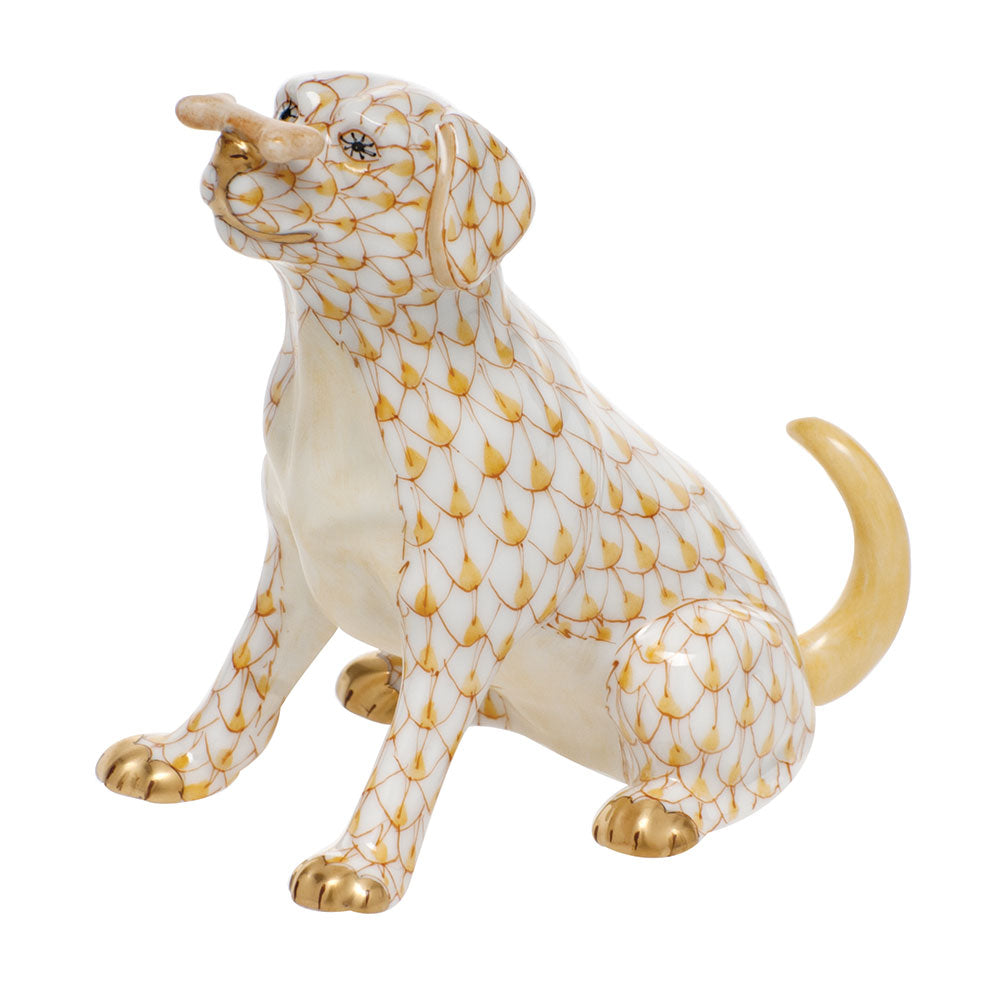 Max with Bone — Butterscotch