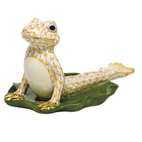 Yoga Frog In Cobra Pose — Butterscotch