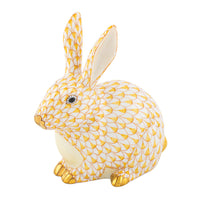 Chubby Bunny — Butterscotch