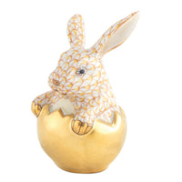 Hatching Bunny — Butterscotch