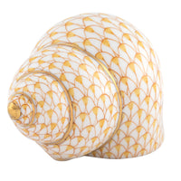 Periwinkle Shell — Butterscotch