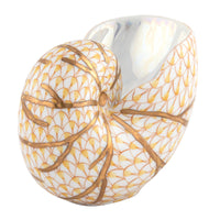 Small Nautilus — Butterscotch