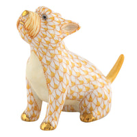 Singing Westie — Butterscotch